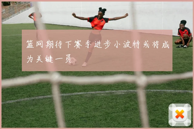 篮网期待下赛季进步小波特或将成为关键一员