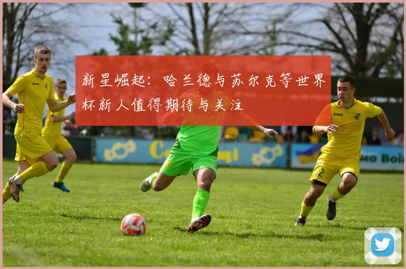 新星崛起：哈兰德与苏尔克等世界杯新人值得期待与关注