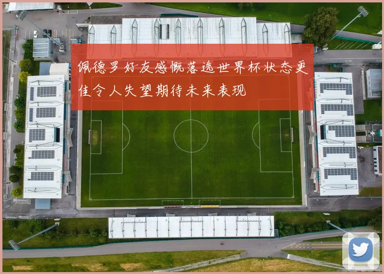 佩德罗好友感慨落选世界杯状态更佳令人失望期待未来表现